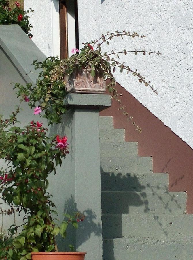 Ferienhaus Gassner Navis Buitenkant foto
